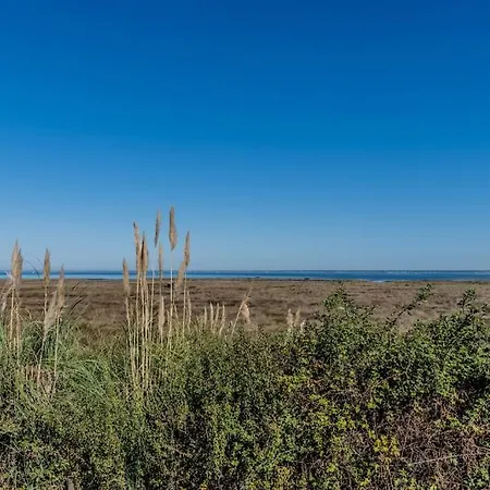 Perle Du Bassin Vue - Arcachon-la Hume Vila Gujan-Mestras