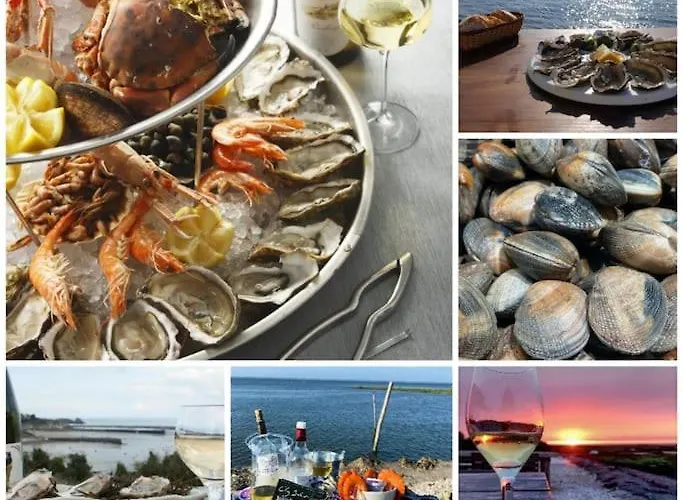 Perle Du Bassin Vue - Arcachon-la Hume *