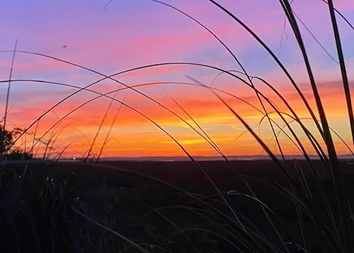 Perle Du Bassin Vue - Arcachon-la Hume Gujan-Mestras