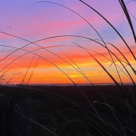 Perle Du Bassin Vue - Arcachon-la Hume Gujan-Mestras