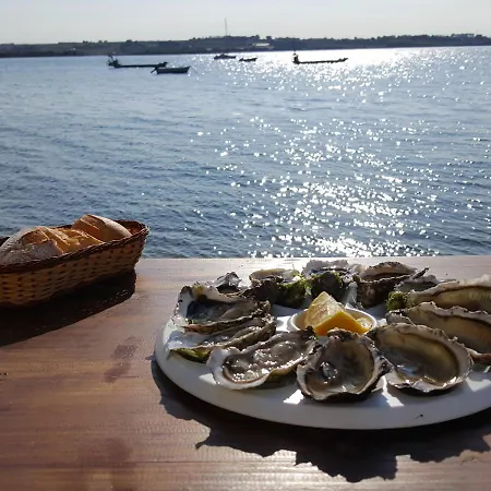 Perle Du Bassin Vue - Arcachon-la Hume 别墅 *